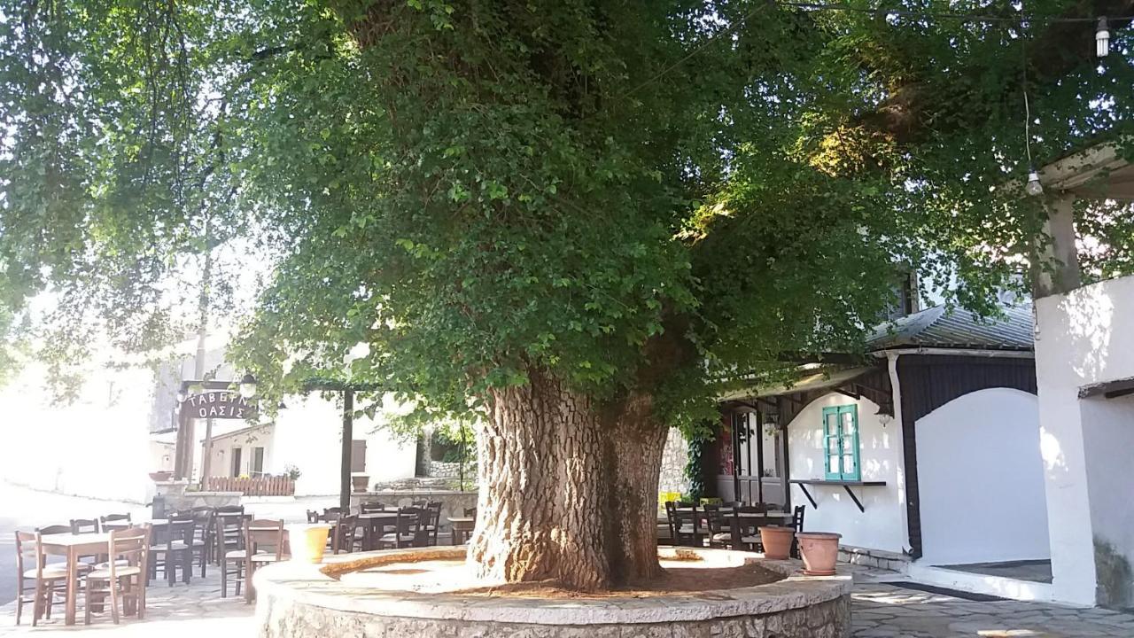 Elm Tree Dream Catcher Strinilas Екстер'єр фото